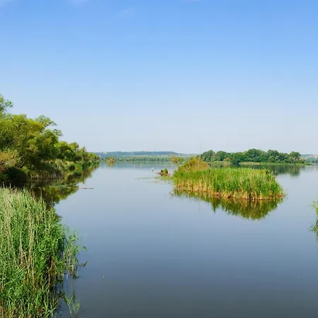 In - Balaton 26487 Balatonberény